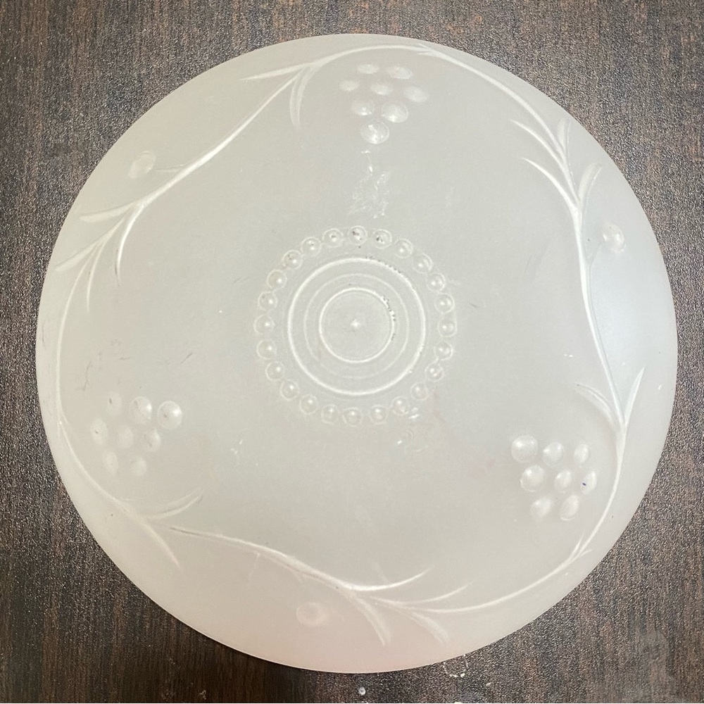 Vintage Frosted Glass Dome Ceiling Shade with Grapes & Vines